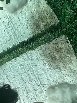 val zx online show from 03-22-26, 06:44