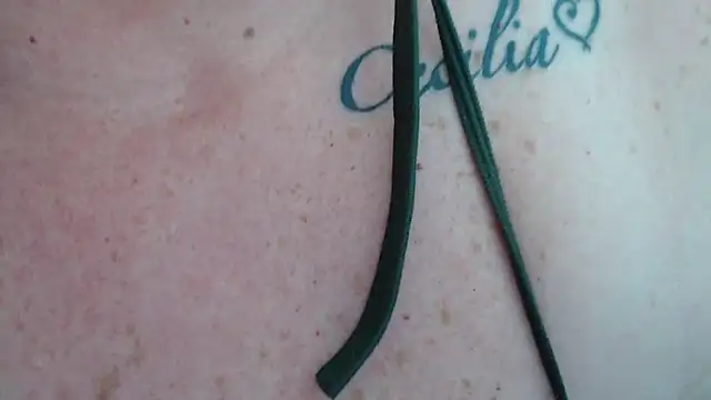 Snapshot of Olgahunder chatting on 07-20-26, 10:39 Olgahunder online show from 07-20-26, 10:39