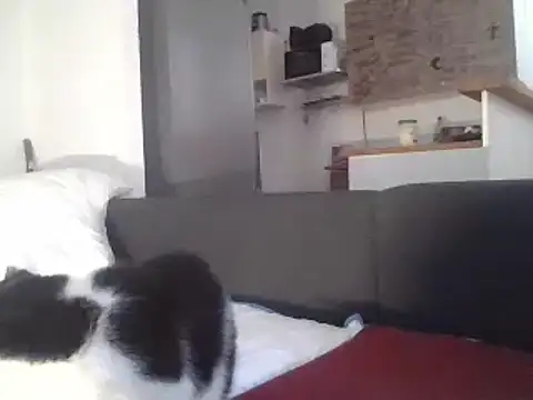 Snapshot of ThePython666 chatting on 03-22-25, 07:25 ThePython666 online show from 03-22-25, 07:25