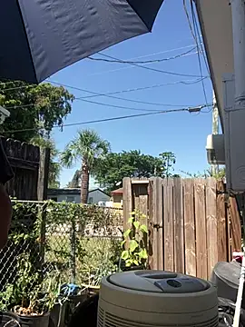 anthonyroth online show from 03-21-25, 05:56