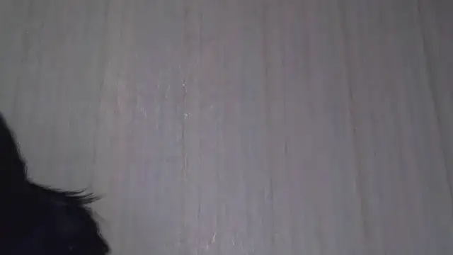 Snapshot of _Black-Panther_ chatting on 10-20-25, 08:26 Black-Panther online show from 10-20-25, 08:26