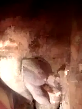 Snapshot of Ayush_pussy_fucker chatting on 11-23-25, 06:08 Ayush pussy fucker online show from 11-23-25, 06:08