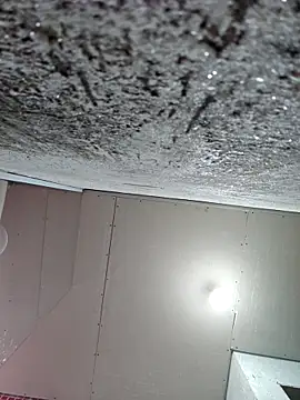 membro destruidor online show from 03-31-26, 05:13