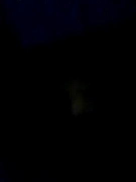 Snapshot of baby25cm chatting on 02-13-26, 06:15 baby25cm online show from 02-13-26, 06:15