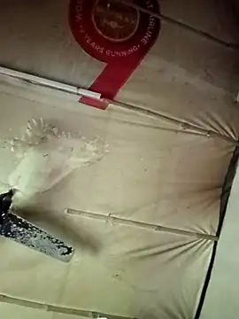 adrija94 online show from 11-22-25, 04:11