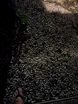 Dglo0000 online show from 01-10-26, 06:59