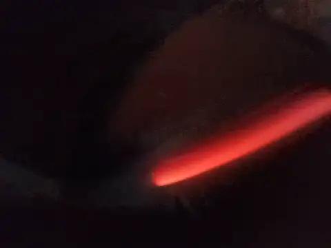 Snapshot of DawidSpandel chatting on 05-21-26, 01:56 DawidSpandel online show from 05-21-26, 01:56