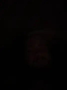 Bear2323 online show from 05-20-26, 04:07
