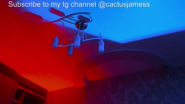 Snapshot of Cactus__James chatting on 11-21-25, 11:58 Cactus James online show from 11-21-25, 11:58