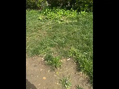 Snapshot of giyasbvnghkgkfk chatting on 04-03-26, 10:35 giyasbvnghkgkfk online show from 04-03-26, 10:35