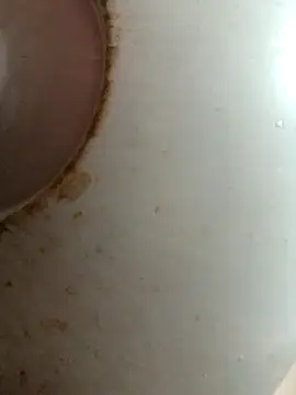 Snapshot of Dabunation chatting on 10-08-25, 06:11 Dabunation online show from 10-08-25, 06:11