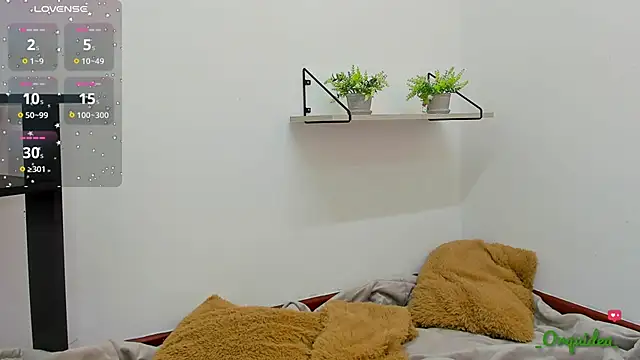  Orquidea  online show from 11-15-25, 01:51