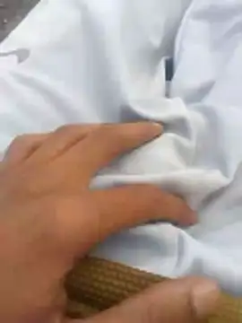 Snapshot of tiibcstuj chatting on 02-14-26, 12:13 tiibcstuj online show from 02-14-26, 12:13