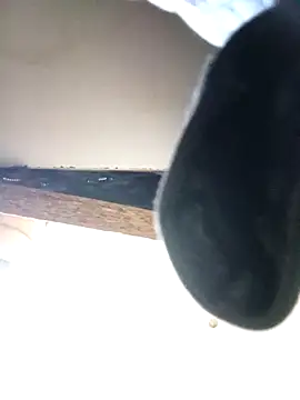 Snapshot of Thenaughtyboy360 chatting on 09-15-25, 01:22 Thenaughtyboy360 online show from 09-15-25, 01:22