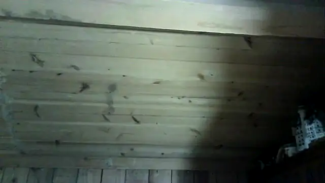 Angelsordemons6 online show from 03-04-26, 08:26