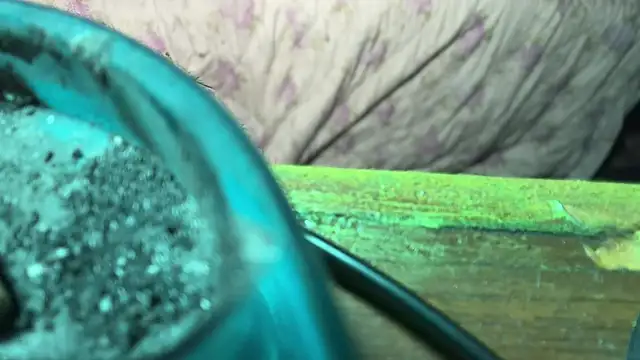 HodgeVibes online show from 04-21-26, 11:49