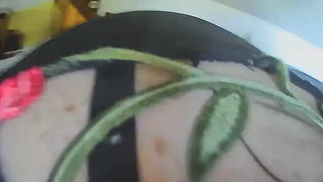 Snapshot of VanessaSissyGay chatting on 11-27-25, 11:01 VanessaSissyGay online show from 11-27-25, 11:01