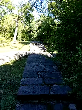 Snapshot of zack23088 chatting on 10-04-25, 12:41 zack23088 online show from 10-04-25, 12:41