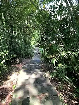 Snapshot of zack23088 chatting on 10-18-25, 02:03 zack23088 online show from 10-18-25, 02:03