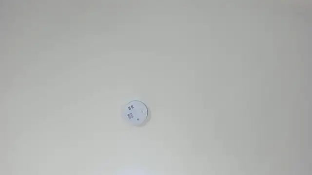 Snapshot of pamemiller1 chatting on 10-23-25, 02:33 pamemiller1 online show from 10-23-25, 02:33