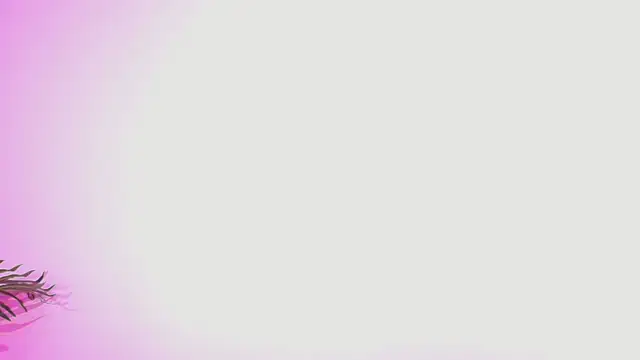 Snapshot of Lana_ortega chatting on 07-05-26, 04:52 Lana ortega online show from 07-05-26, 04:52