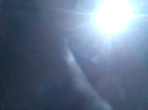 S C1 online show from 02-05-26, 02:11