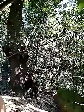 KalendaXL online show from 04-20-26, 11:57