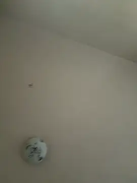 xotflzzz online show from 12-16-25, 01:05