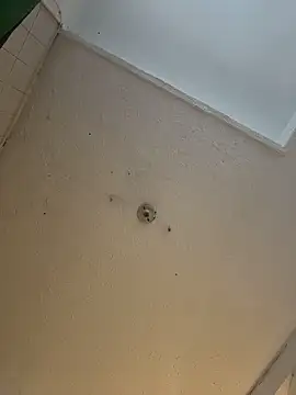 cam11 07 online show from 04-08-26, 09:37