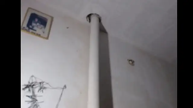 BebaFoxx online show from 03-03-26, 08:20