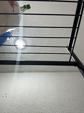 Snapshot of Nia_Desire chatting on 12-17-25, 05:24 Nia Desire online show from 12-17-25, 05:24