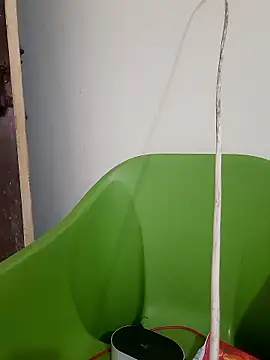 Snapshot of AnkitaDevi chatting on 01-19-26, 11:03 AnkitaDevi online show from 01-19-26, 11:03