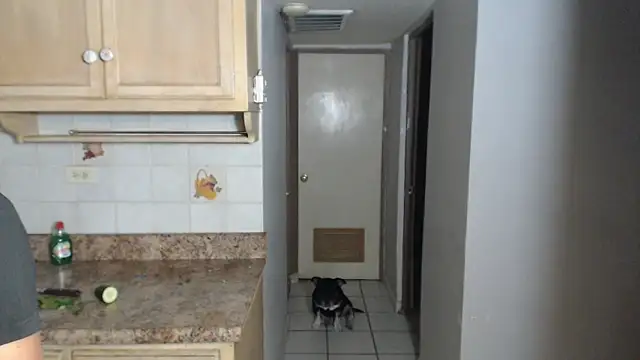 BlondZilla online show from 11-17-25, 12:49