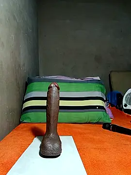 Snapshot of khetyvile chatting on 01-09-26, 11:17 khetyvile online show from 01-09-26, 11:17