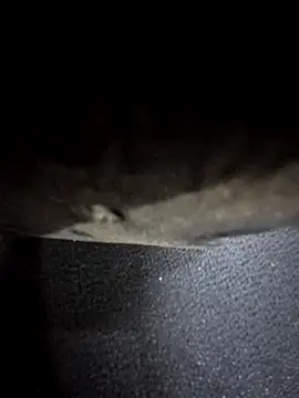 Snapshot of odilicia chatting on 12-01-25, 11:04 odilicia online show from 12-01-25, 11:04