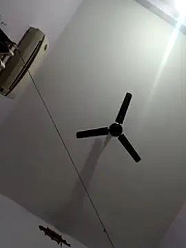 monster-dickk online show from 12-02-25, 03:18