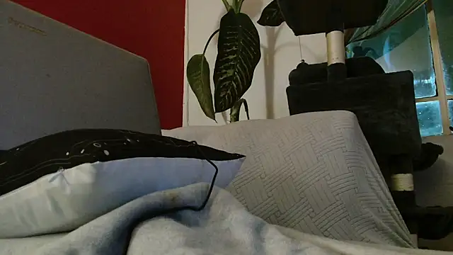 Snapshot of Tulindabonny chatting on 03-06-26, 05:04 Tulindabonny online show from 03-06-26, 05:04