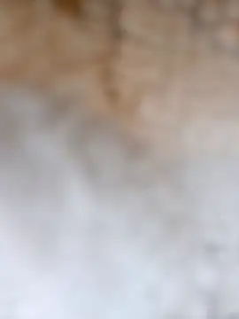 Snapshot of Radsj@xh chatting on 12-17-25, 07:42 Radsjxh online show from 12-17-25, 07:42