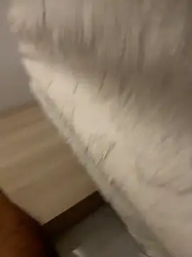 Snapshot of DoctorArabe3 chatting on 02-12-26, 11:05 DoctorArabe3 online show from 02-12-26, 11:05