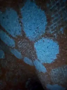 Snapshot of ParousFlow chatting on 01-19-26, 12:42 ParousFlow online show from 01-19-26, 12:42