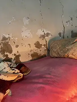 Snapshot of ParousFlow chatting on 02-02-26, 02:16 ParousFlow online show from 02-02-26, 02:16