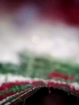 Snapshot of ParousFlow chatting on 02-13-26, 11:28 ParousFlow online show from 02-13-26, 11:28