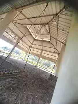 Snapshot of Desi_Horny_Boys chatting on 10-21-25, 08:26 Desi Horny Boys online show from 10-21-25, 08:26