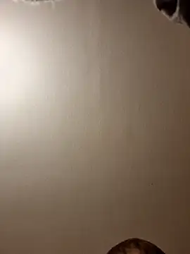 Snapshot of gazb90 chatting on 11-14-25, 11:24 gazb90 online show from 11-14-25, 11:24