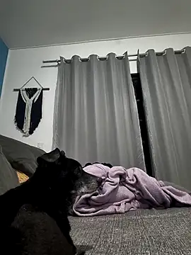 mikeara90 online show from 10-22-25, 10:31