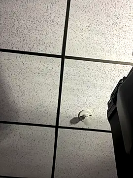 MR MUSCLE online show from 09-19-25, 11:22