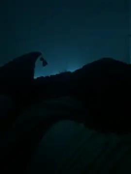 Snapshot of bjarson123 chatting on 02-11-26, 10:53 bjarson123 online show from 02-11-26, 10:53