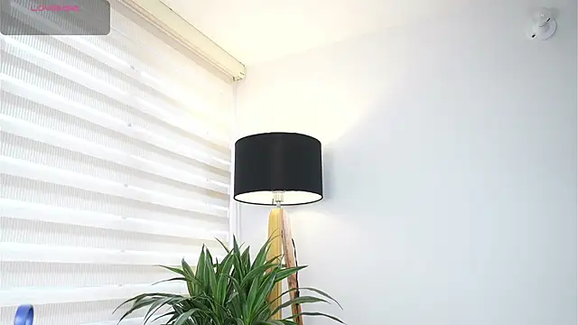 DeusbelliS online show from 10-14-25, 08:31