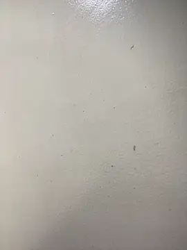 Issa Santana online show from 02-21-26, 07:15