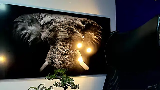 king falconer online show from 11-27-25, 12:56